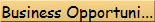 Business Opportunities